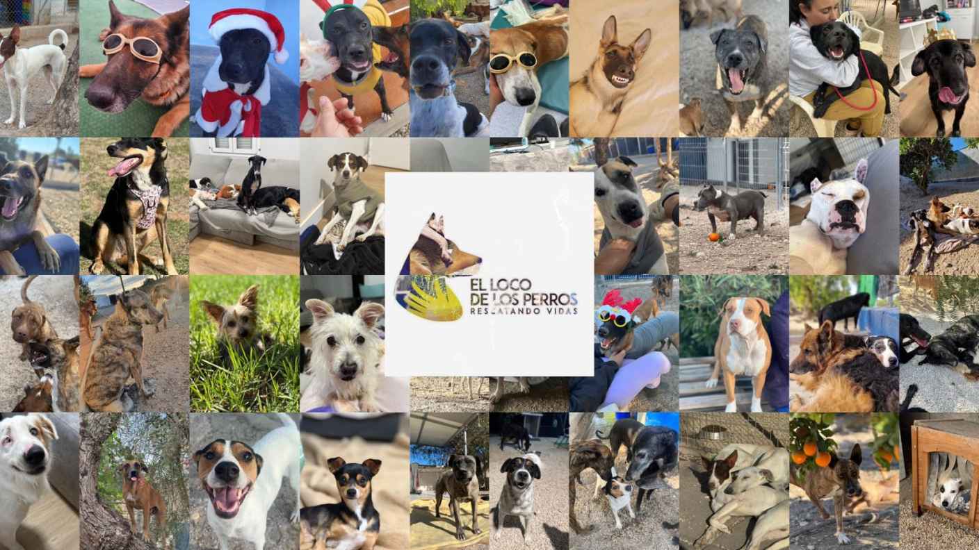 Imagen del artículo